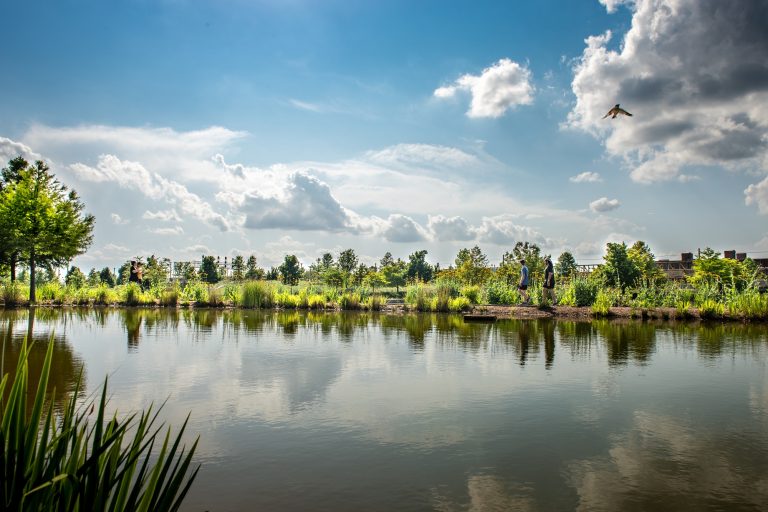 Lake in Railroad Park, downtown Birmingham, 2018.